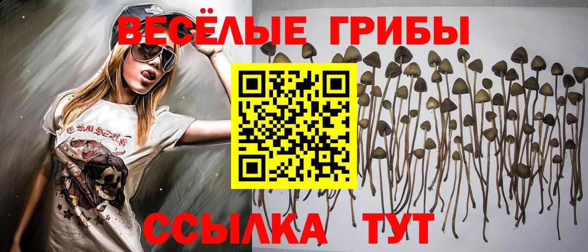 Псилоцибиновые грибы мицелий  Псилоцибиновые грибы MAGIC MUSHROOMS  Магадан  Вход с VPN 