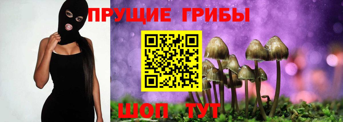 Галлюциногенные грибы Magic Shrooms Магадан